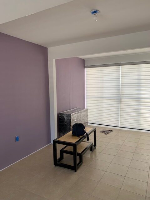 Pintura departamento Melchor Ocampo, Estado de Mexico